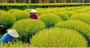Tour Sài Gòn – Miền Tây 5 ngày 5 đêm
